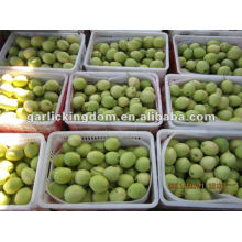 New Crop Shandong Pear from Origin